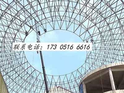 重庆樟树中央大街球形网架